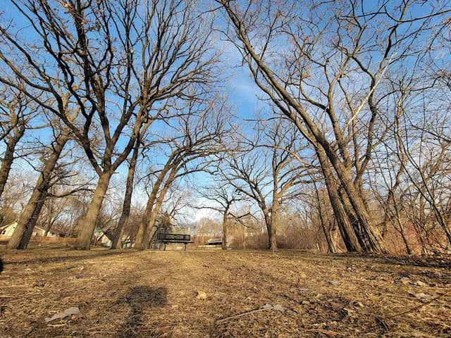Thoresen Park - Image 3