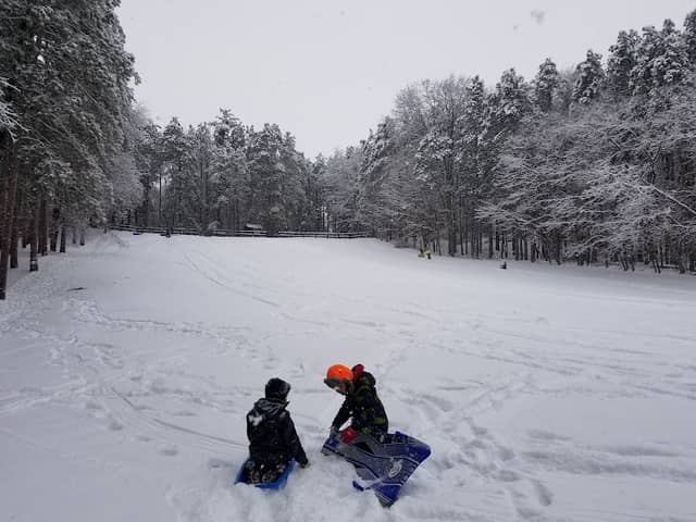 Trailside Lodge - Image 1