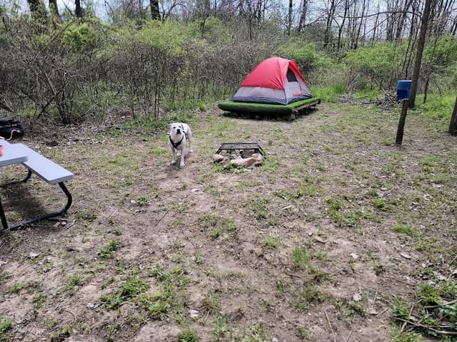 TUCKED AWAY TENTING LLC - Image 2
