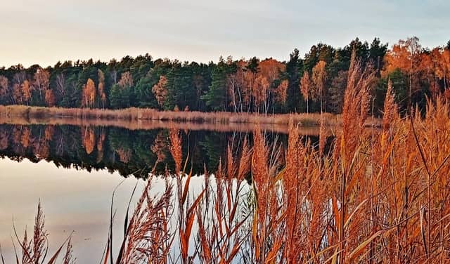 Rezerwat przyrody Śliże - Image 1