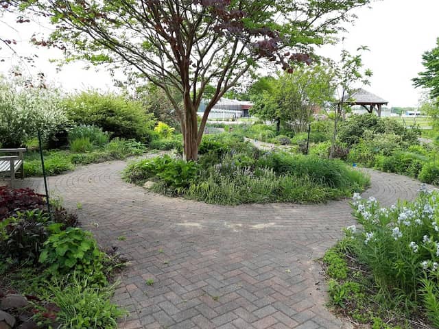 University of Delaware Botanic Gardens - Image 2