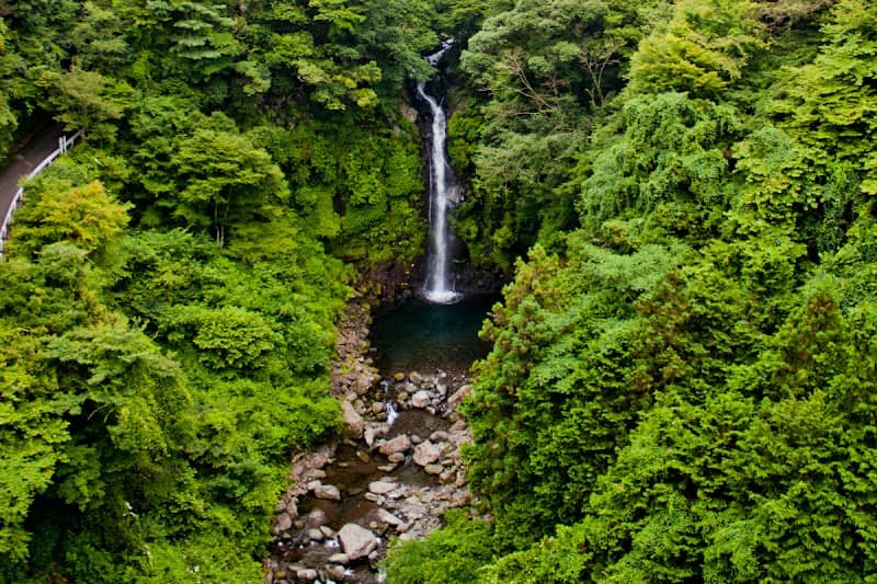 Bungy Japan Fuji Bungy - Image 1
