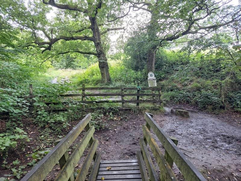 Buckden Wood Stubbins Estate - Image 2