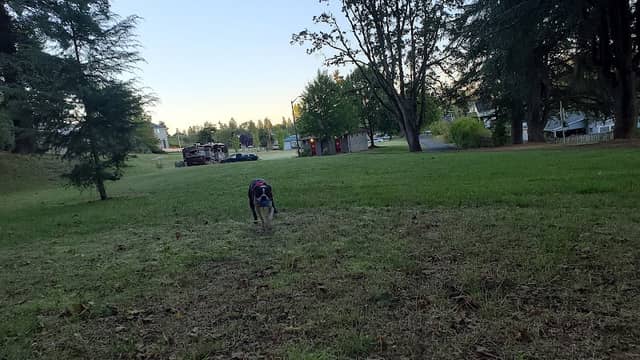Oregon City Park Place - Image 2