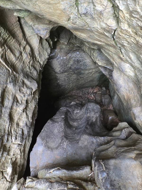 Pettyjohn's Cave - Image 1
