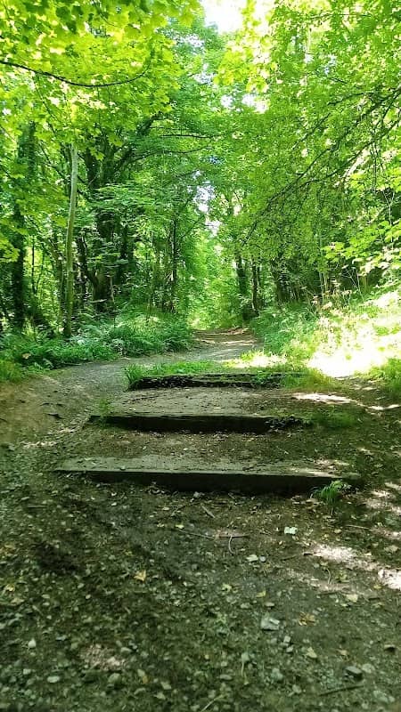 Castle Mill Woods - Image 1
