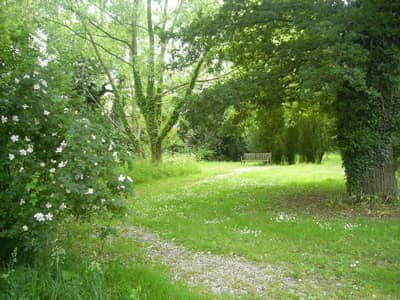 The Withies - Image 1
