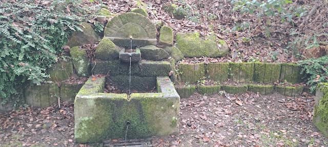 Ulfenbachquelle - Image 1