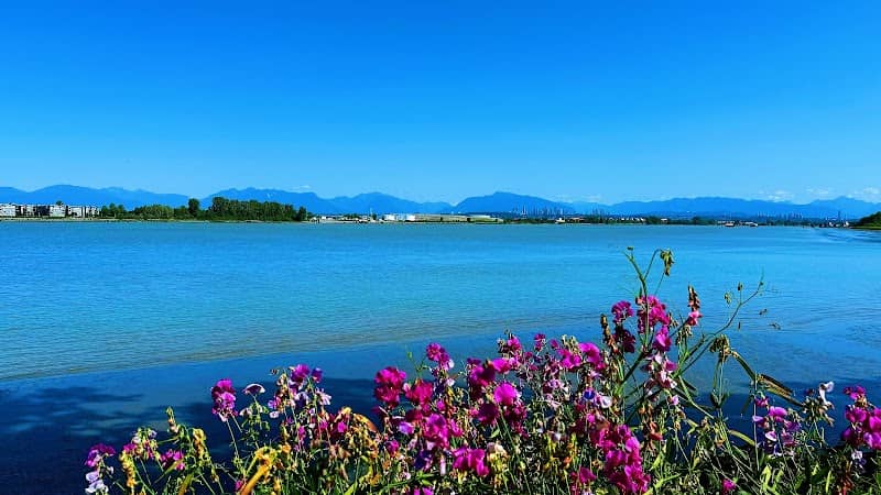 Deas Island Regional Park - Image 2