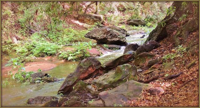 Wolf Creek Lake - Image 2