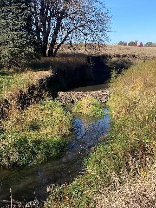 Spring creek - Image 1