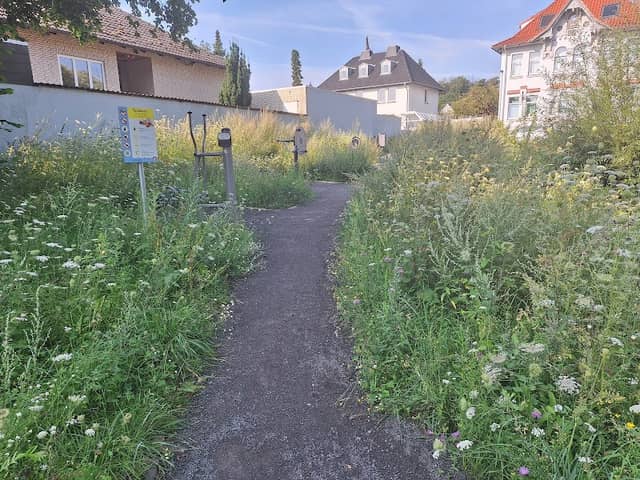 Brauereiteich - Image 1