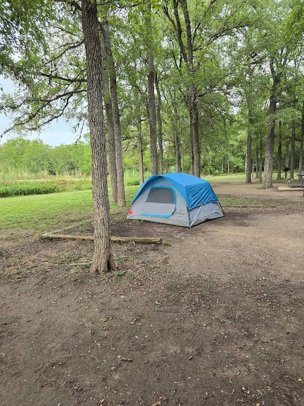 Palmetto State Park Tent Campground - Image 2