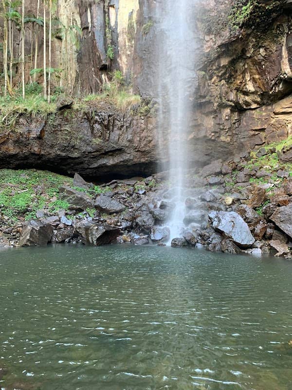 Terania Creek picnic area - Image 1