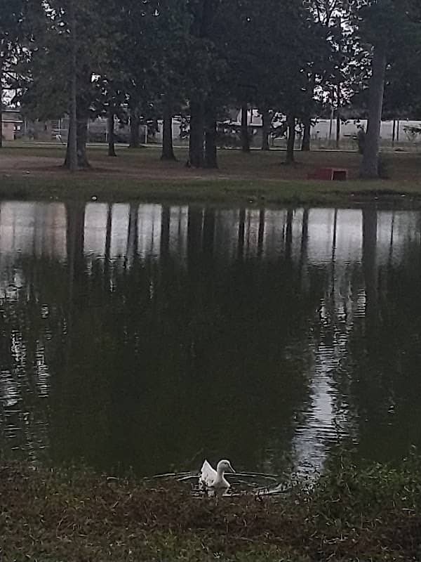 Martin Luther King Jr Park - Image 2