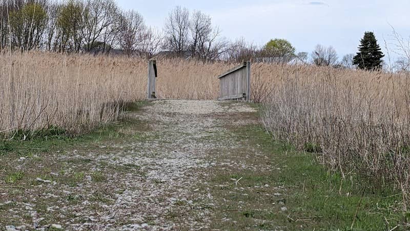 Passanageset Park at Broad Meadows Marsh - Image 3