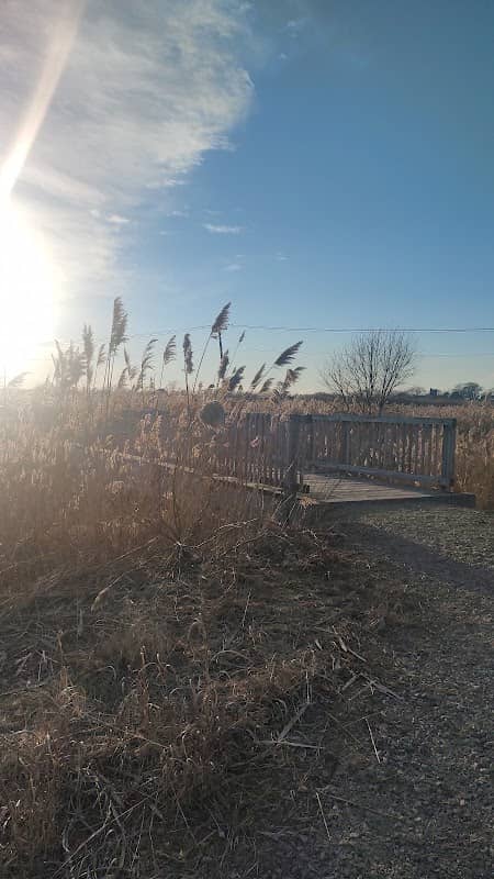 Passanageset Park at Broad Meadows Marsh - Image 1