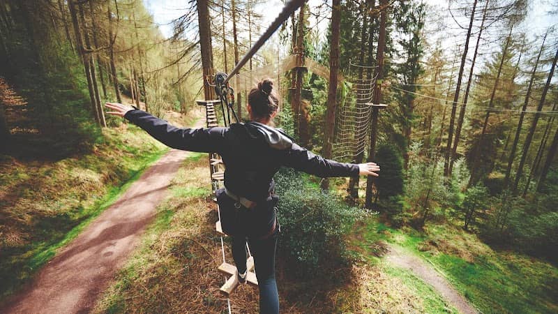 Go Ape Bedgebury - Image 1