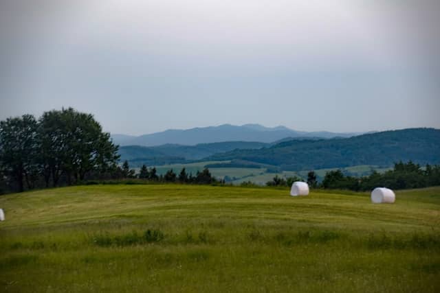 Punkt widokowy - Czekajka - Image 1