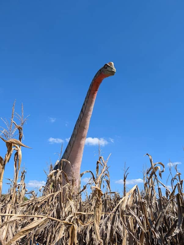 Happy Halloween Weekends Corn Maze - Image 1