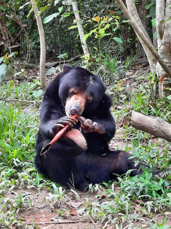 Kalimantan Tours - Image 1