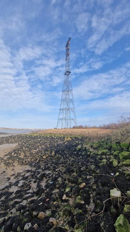 Swanscombe Marshes - Image 1