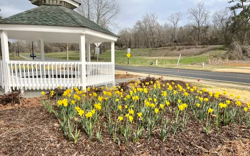 Valley Street Linear Park - Image 2