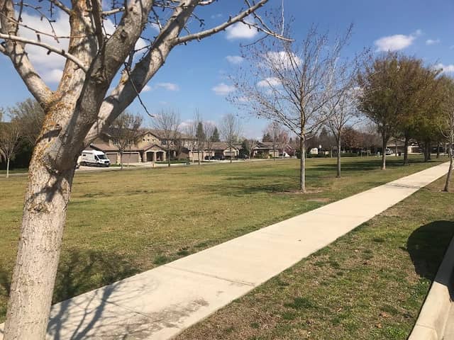Noyes Park - Image 2