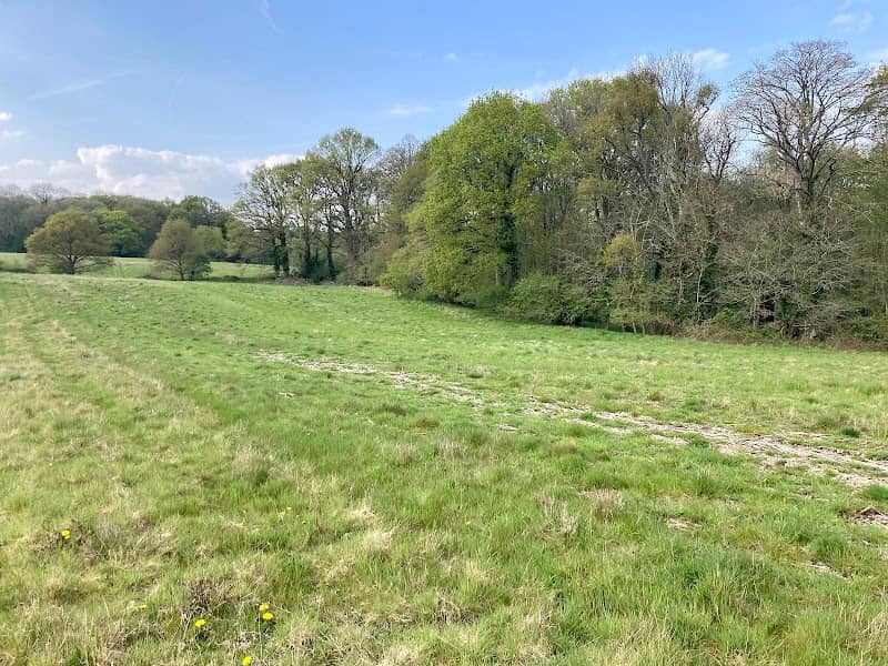 Sandleford Park - Image 1
