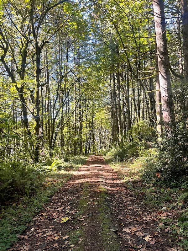 Mcfadden Park - Image 1