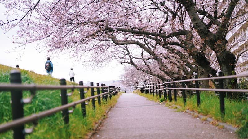 Minamirokugo Park - Image 1