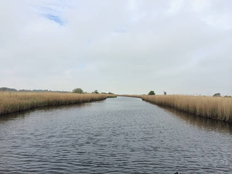 Martham Broad Nature Reserve - Image 2