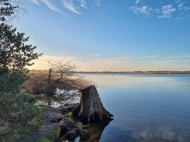 Martham Broad Nature Reserve - Image 1