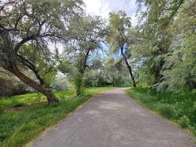 Big Cottonwood Regional Park - Big Cottonwood Area - Image 1