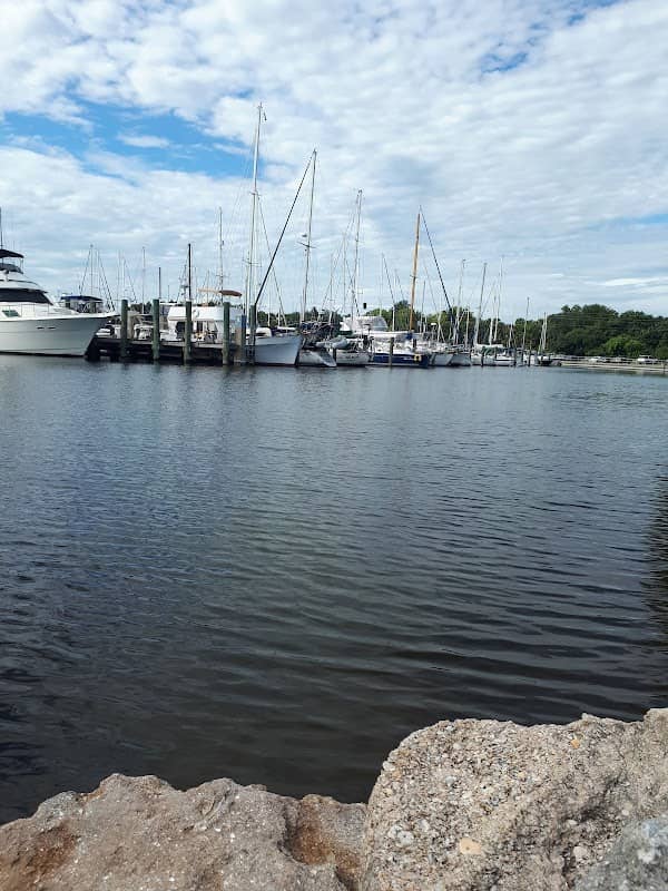 Brevard County Marina Dog Park - Image 2
