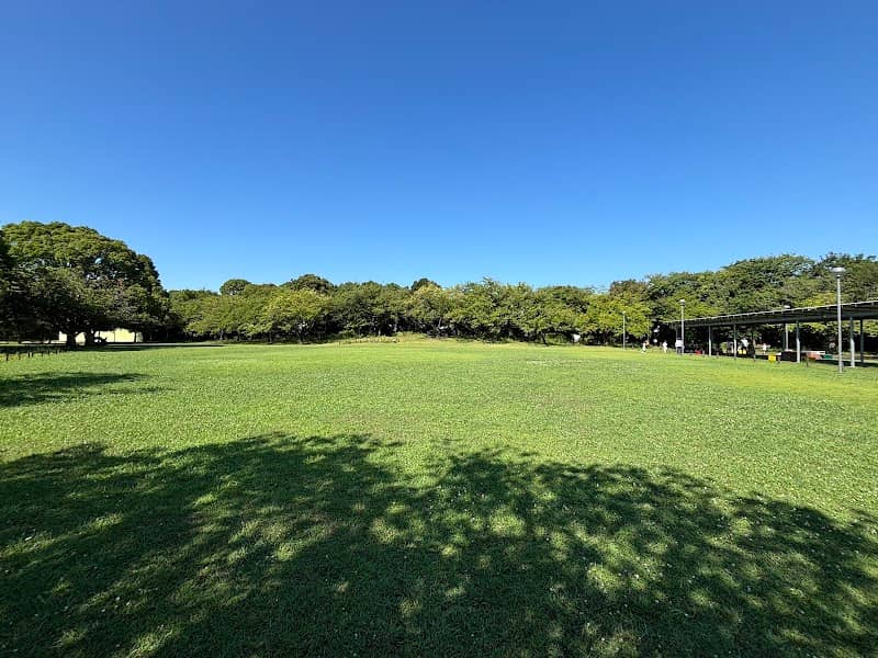 Higashi-Ogishima Naka Park - Image 2