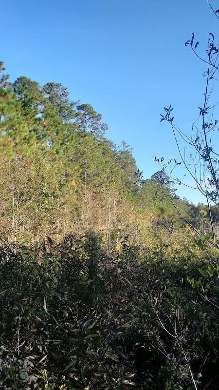 Brookstone Park - Image 2