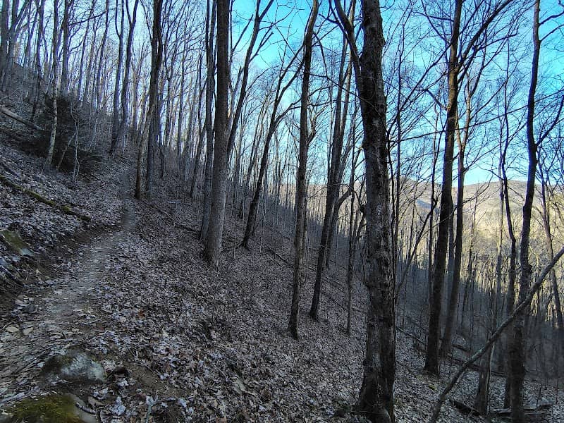 Chattahoochee Source Trail - Image 1