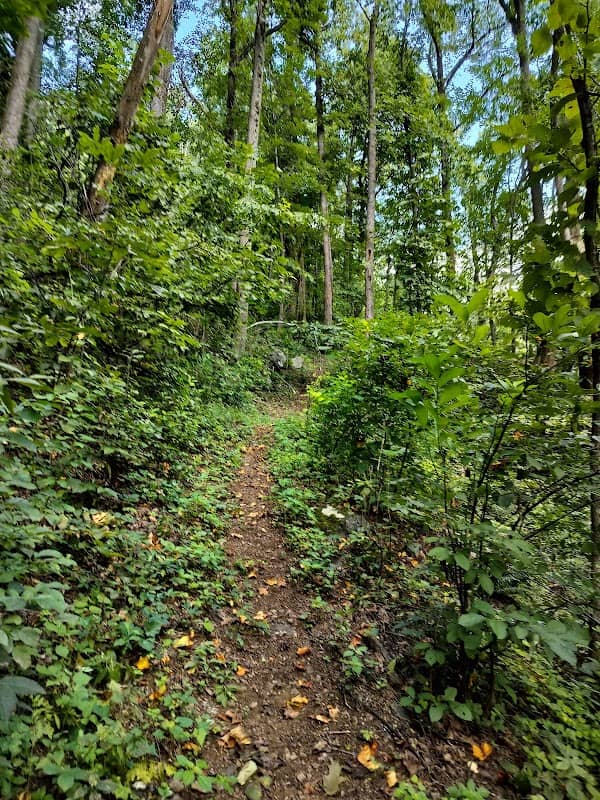 Entry Run Trail Parking - Image 2