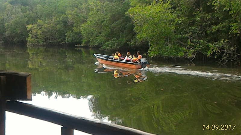 Bintan mangrove - trasportasi - Image 1