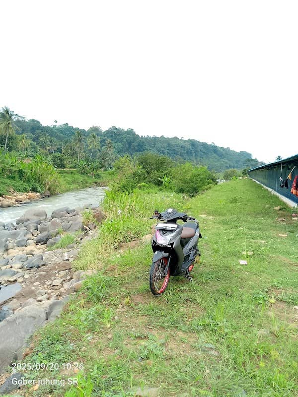 Blue Farm - Image 1