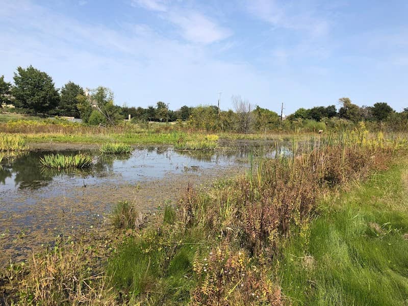 Connemara Meadow Nature Preserve - Image 3