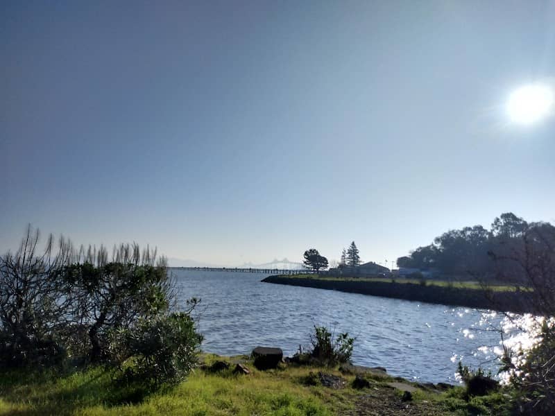 Jean & John Starkweather Shoreline Park - Image 1