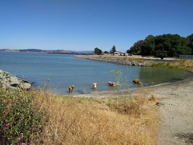 Jean & John Starkweather Shoreline Park - Image 2