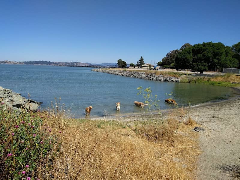 Jean & John Starkweather Shoreline Park - Image 2