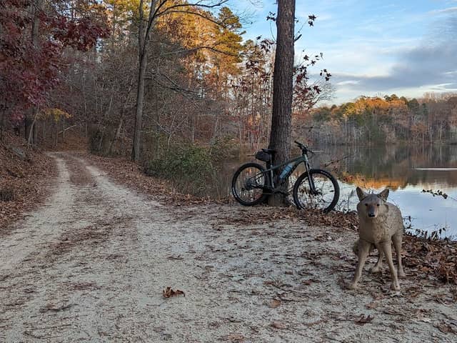 Salem Lake - Image 1