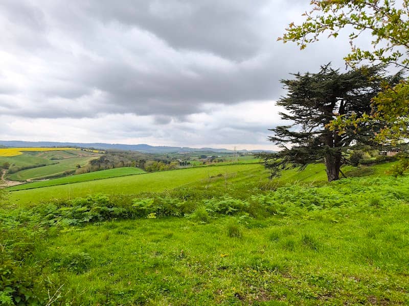 RSPB Exminster and Powderham Marshes - Image 2