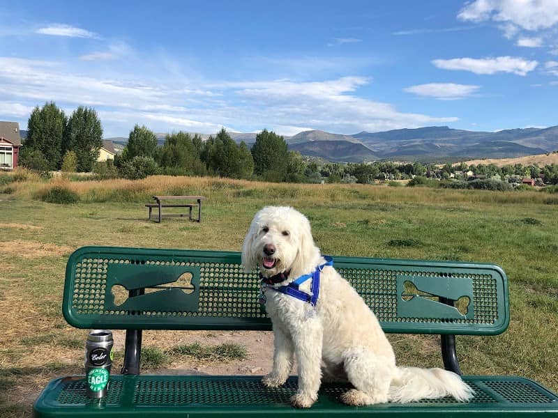 Town of Eagle Dog Park - Image 2