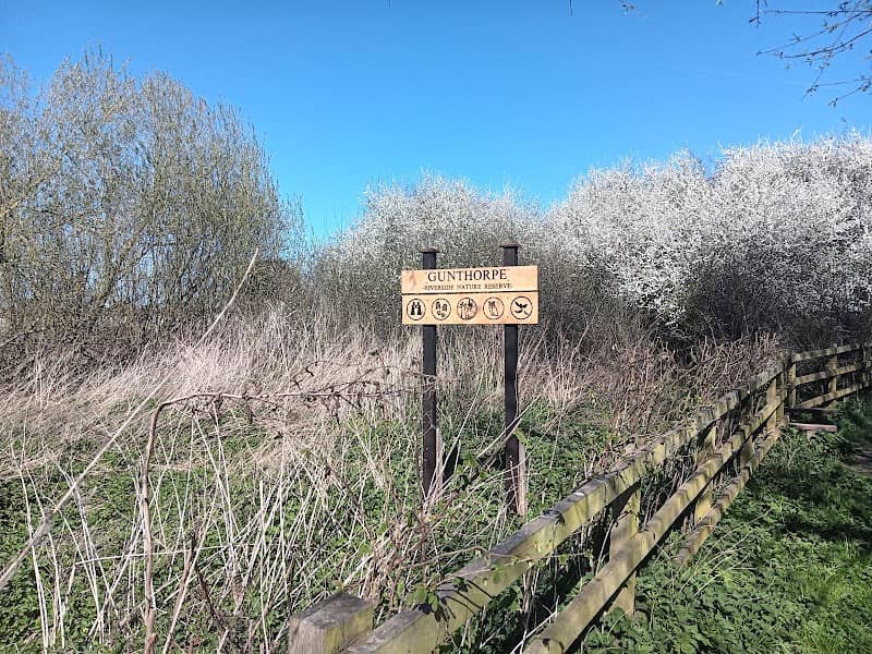 Gunthorpe Nature Reserve - Image 2