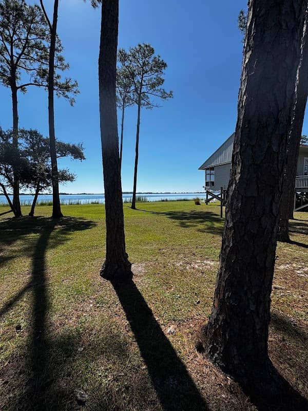 Sawgrass loop - Image 1